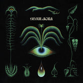 the album cover for Eric Demuro - Simulacra
