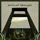 the album cover for Ritual Bronze - Ritual Bronze