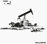 the album cover for Shallowater - There Is A Well [Colored Vinyl]