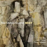 the album cover for Mat Maneri - Mist