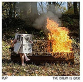 the album cover for Pup - Dream Is Over