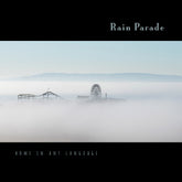the album cover for Rain Parade - Home In Any Language