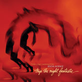 the album cover for Terri Carrington  Lyne - Trip The Night Fantastic [Colored Vinyl]
