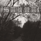 the album cover for Sakna - De Syv Dodssynder (2-12 Inch)