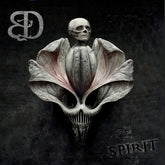 the album cover for Blossom Death - Spirit