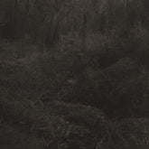 the album cover for Lesley Mok - Transient [Download Included]