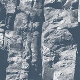 the album cover for Driftwood - Maps