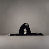 the album cover for Le Ren - Don't Be Funny Without Me