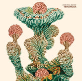 the album cover for John Paul Bohon - Terlingua