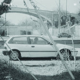the album cover for Fling Ii - 3