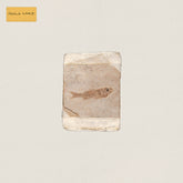 the album cover for Do Nothing - Friend World
