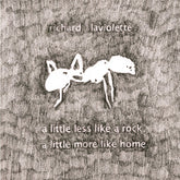 the album cover for Richard Laviolette - Little Less Like A Rock, A Little More Like Home