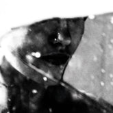 the album cover for Purgate - Leavings