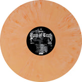 the album cover for Pain Of Truth - Pain Of Truth [Indie Exclusive Color]