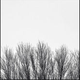 the album cover for Northwoods Improvisers - White Sky