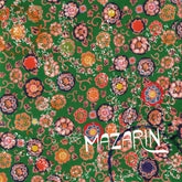 the album cover for Mazarin - We're Already There