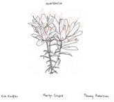 the album cover for Kirk Knuffke - Paintbrush