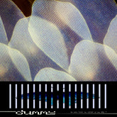 the album cover for Dummy - Do You Love The Color Of The Sky