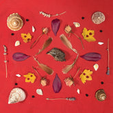 the album cover for Secret Family - Grouse Head Talisman