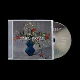 the album cover for Castlebeat - Castlebeat Ii