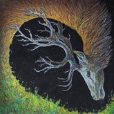 the album cover for Petrels - Infangthief - Clear Black Smoke (Blk) [Clear Vinyl] [Deluxe]