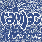 the album cover for Ramjac Corporation - 88-92 It Is What It Was