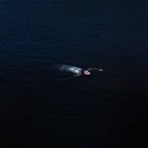 the album cover for Mustard Service - Paradise