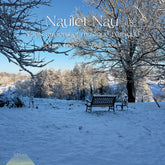 the album cover for Louise Tixier - Naulet Nau - Noels Anciens Et Musique Baroque