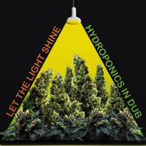 the album cover for Hydroponics - Let The Light Shine