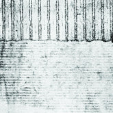 the album cover for Coh - Iron
