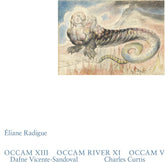 the album cover for Eliane Radigue - Occam Xiii Occam River Xi Occam V