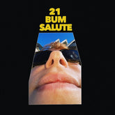 the album cover for Party Dozen - 21 Bum Salute