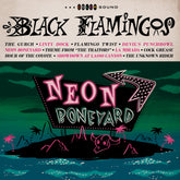 the album cover for Black Flamingos - Neon Boneyard [Indie Exclusive] [Colored Vinyl] [Indie Exclusive]