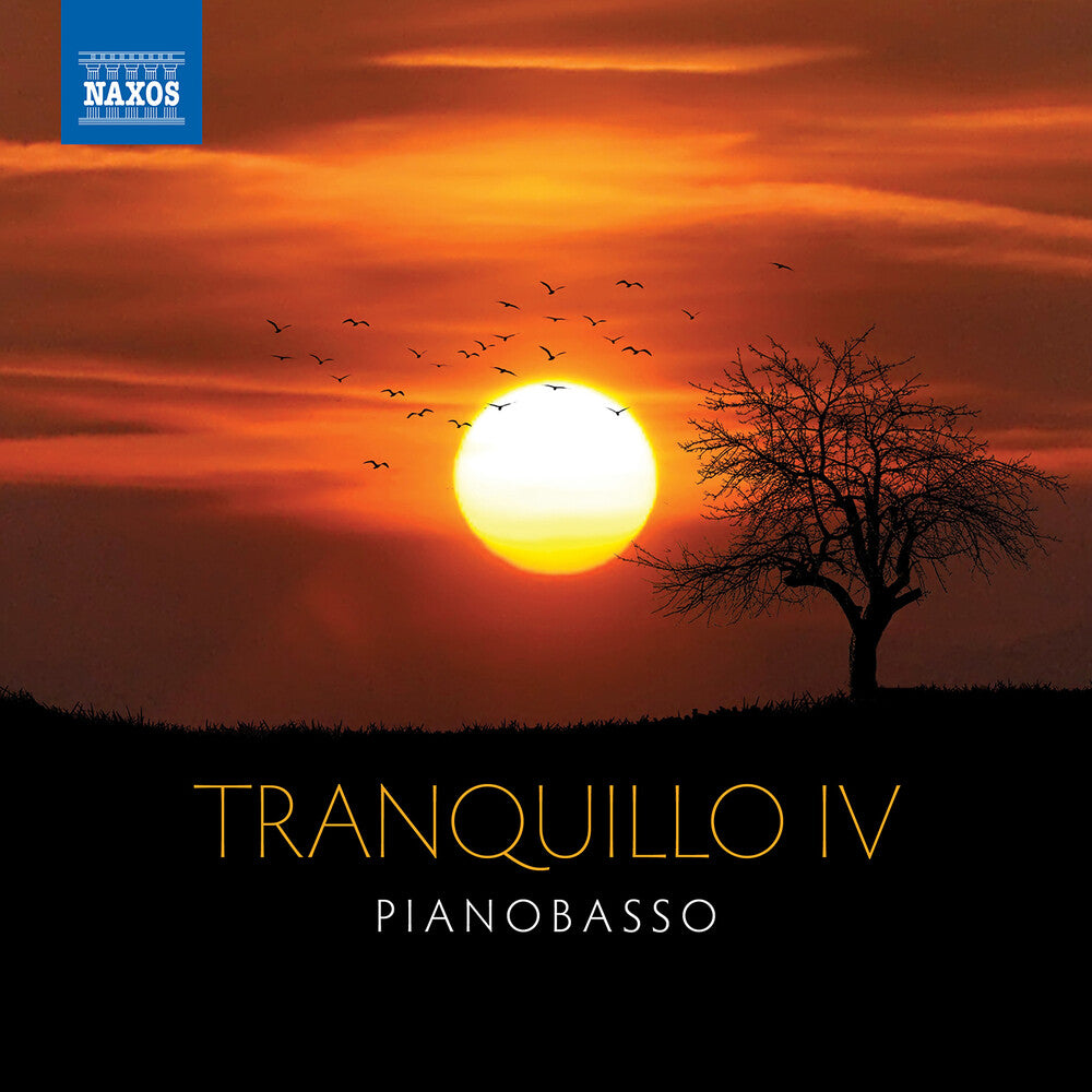 the album cover for PianoBasso - Tranquillo Iv