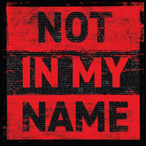 the album cover for Archive - Not In My Name
