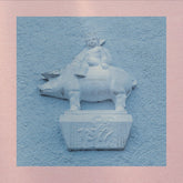 the album cover for Anthony Green - Pets - Coke Bottle Clear [Clear Vinyl]