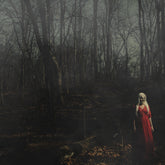 the album cover for 156/Silence - From A Distance (Blk) [Colored Vinyl] (Crem) (Red) (Spla)