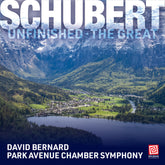 the album cover for David Bernard - Schubert: Symphony No 8 In B Minor D 759