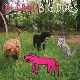 the album cover for Oh Dang - Big Dogs [Colored Vinyl] [180 Gram] (Smok)