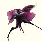 the album cover for Nanaco Sato - Lust