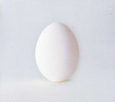 Wilco - A Ghost Is Born CD