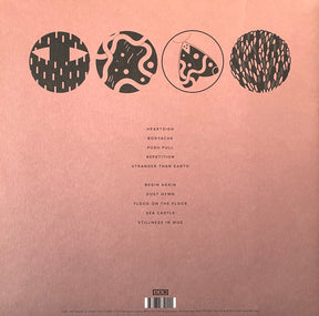 Purity Ring : Another Eternity (LP, Album, Ltd, Cle)