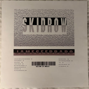 James Ferraro : Skid Row (2xLP, Album, Cle)