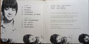 Cat Power : Dear Sir (LP, Album, RE, GZ )