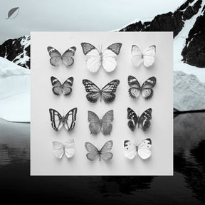 Christian Löffler : Young Alaska (12" + 7" + EP, RP)