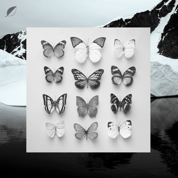 Christian Löffler : Young Alaska (12" + 7" + EP, RP)