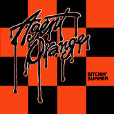 Agent Orange - Bitchin Summer 7" (RSD, Picture Disc)