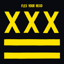 V/A - Flex Your Head LP