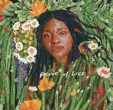 Joy Oladokun - Proof Of Life LP (Indie Exclusive, Limited Edition, Autographed / Star Signed)