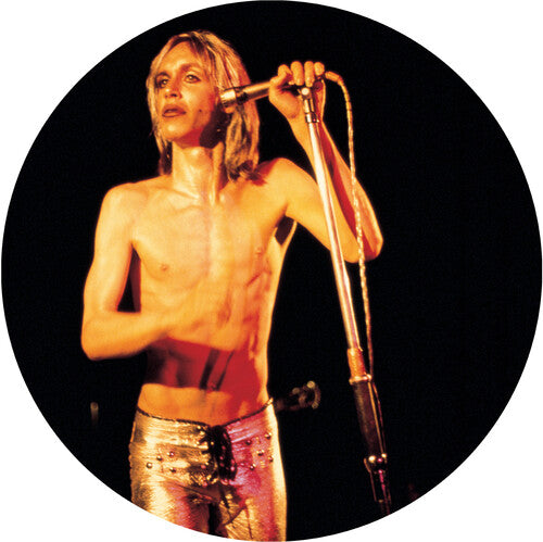 Iggy & The Stooges -  More Power LP (Picture Disc Vinyl, Remastered)